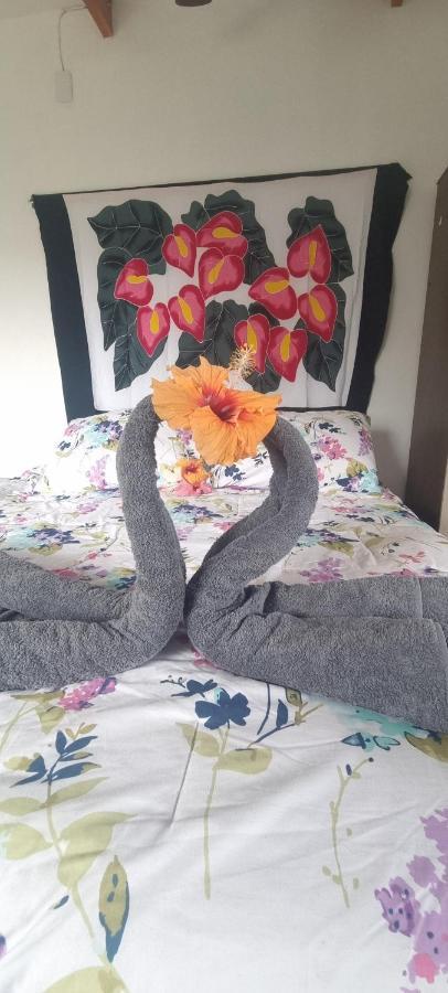 Apartament Hostal Henua Roa 2 Hanga Roa Zewnętrze zdjęcie
