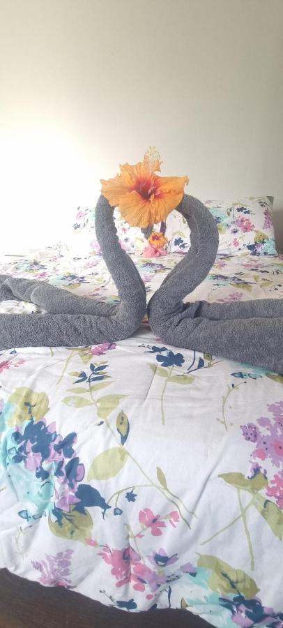 Apartament Hostal Henua Roa 2 Hanga Roa Zewnętrze zdjęcie