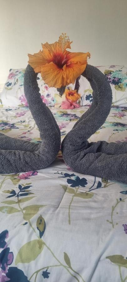 Apartament Hostal Henua Roa 2 Hanga Roa Zewnętrze zdjęcie