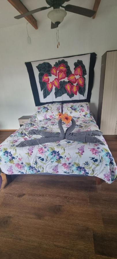 Apartament Hostal Henua Roa 2 Hanga Roa Zewnętrze zdjęcie